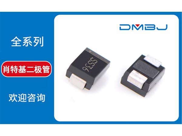 公司图片1