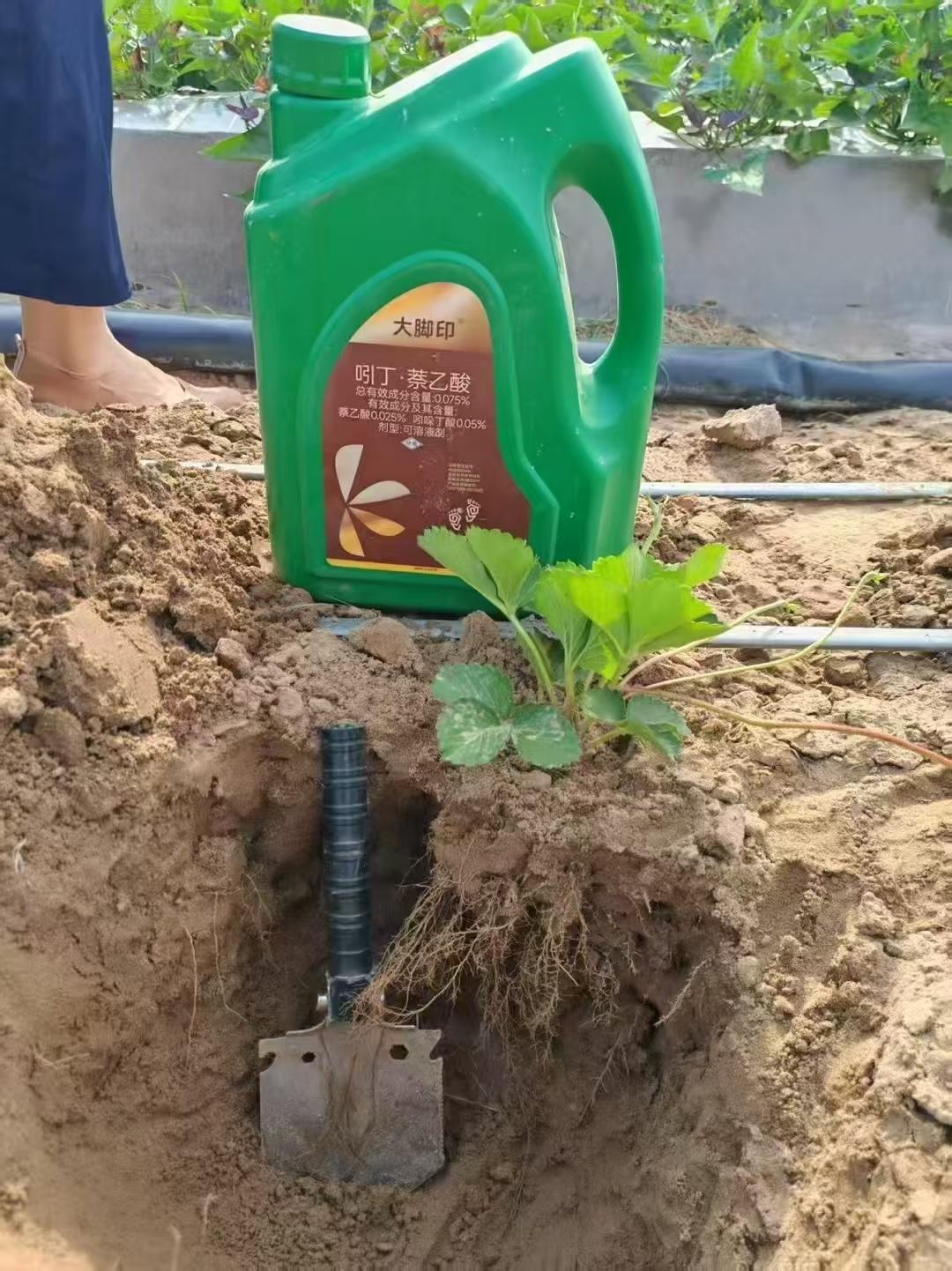 康拓森产品应用效果