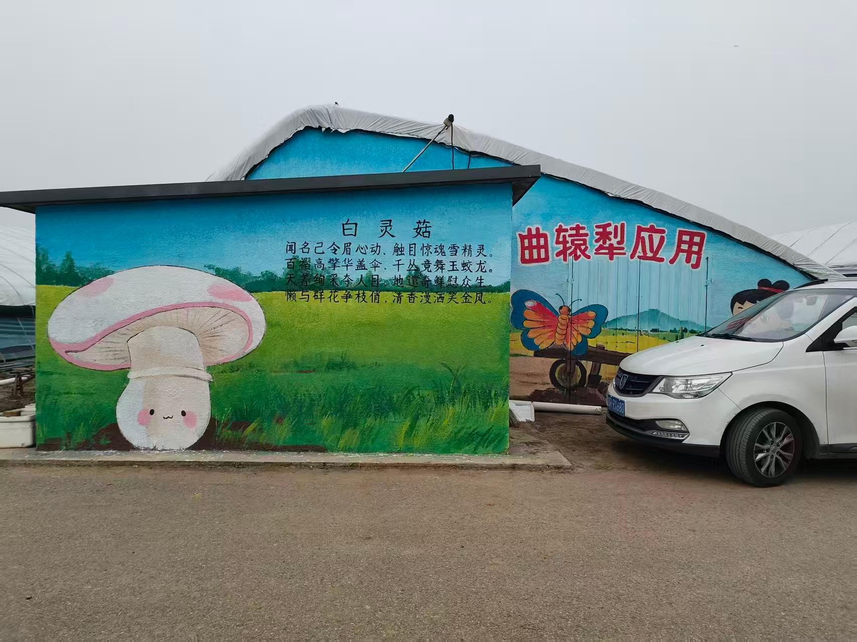 保定瑞峰涂料案例图2
