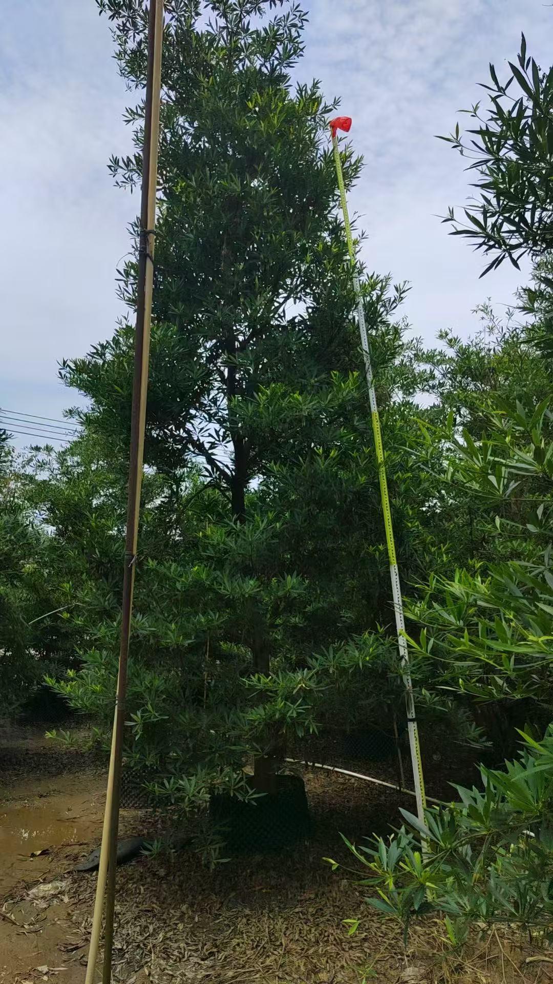 打包发货流程