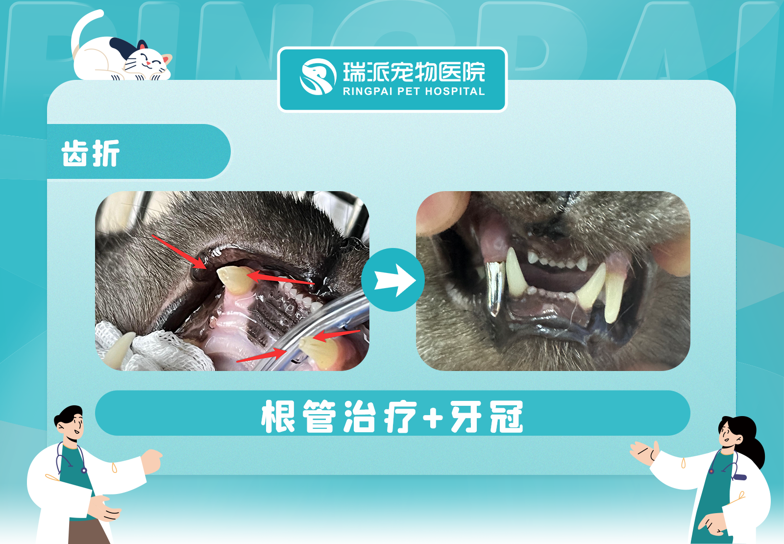 瑞派福华龙华诊疗环境