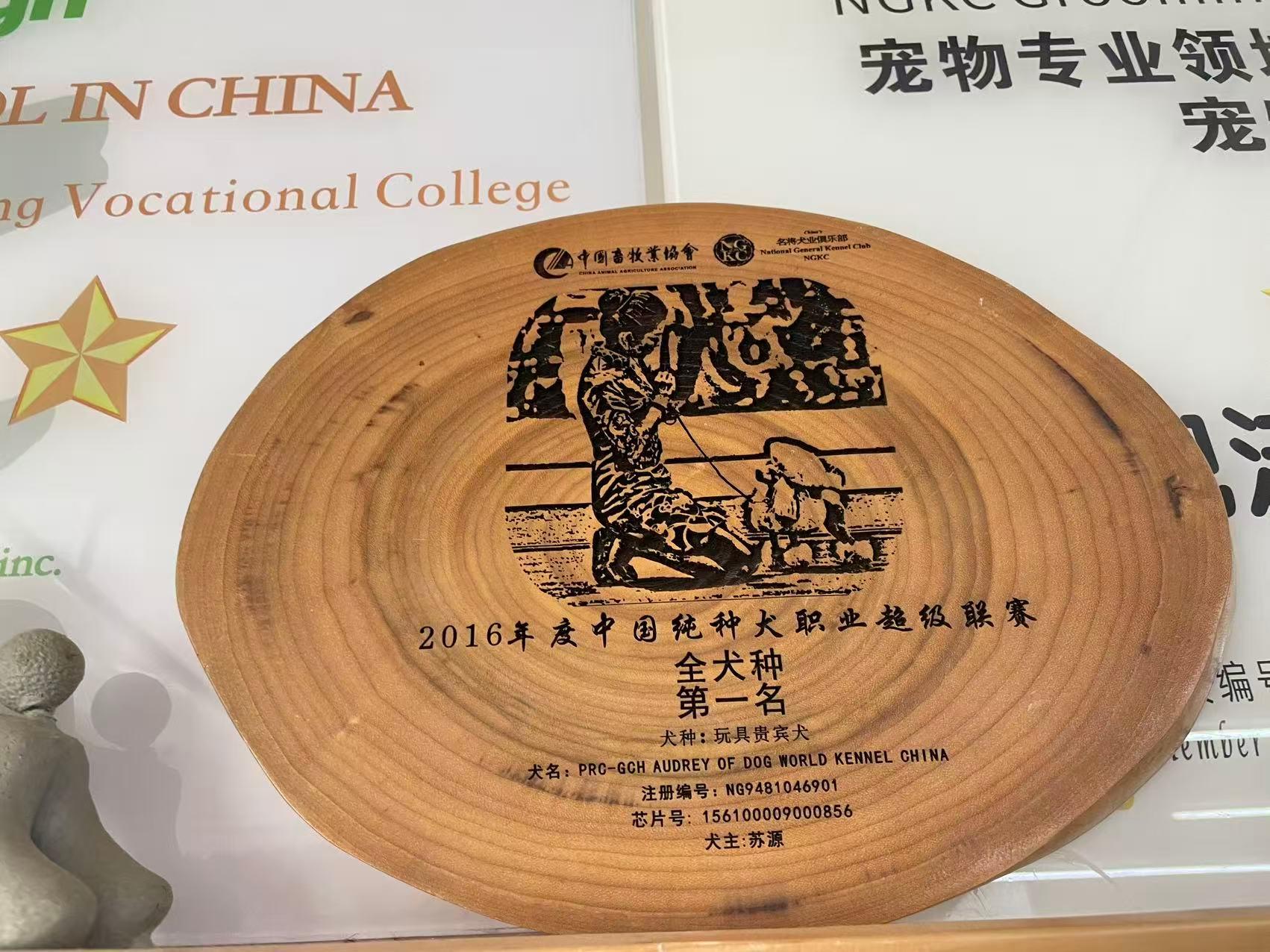 兜沃职培实操教学