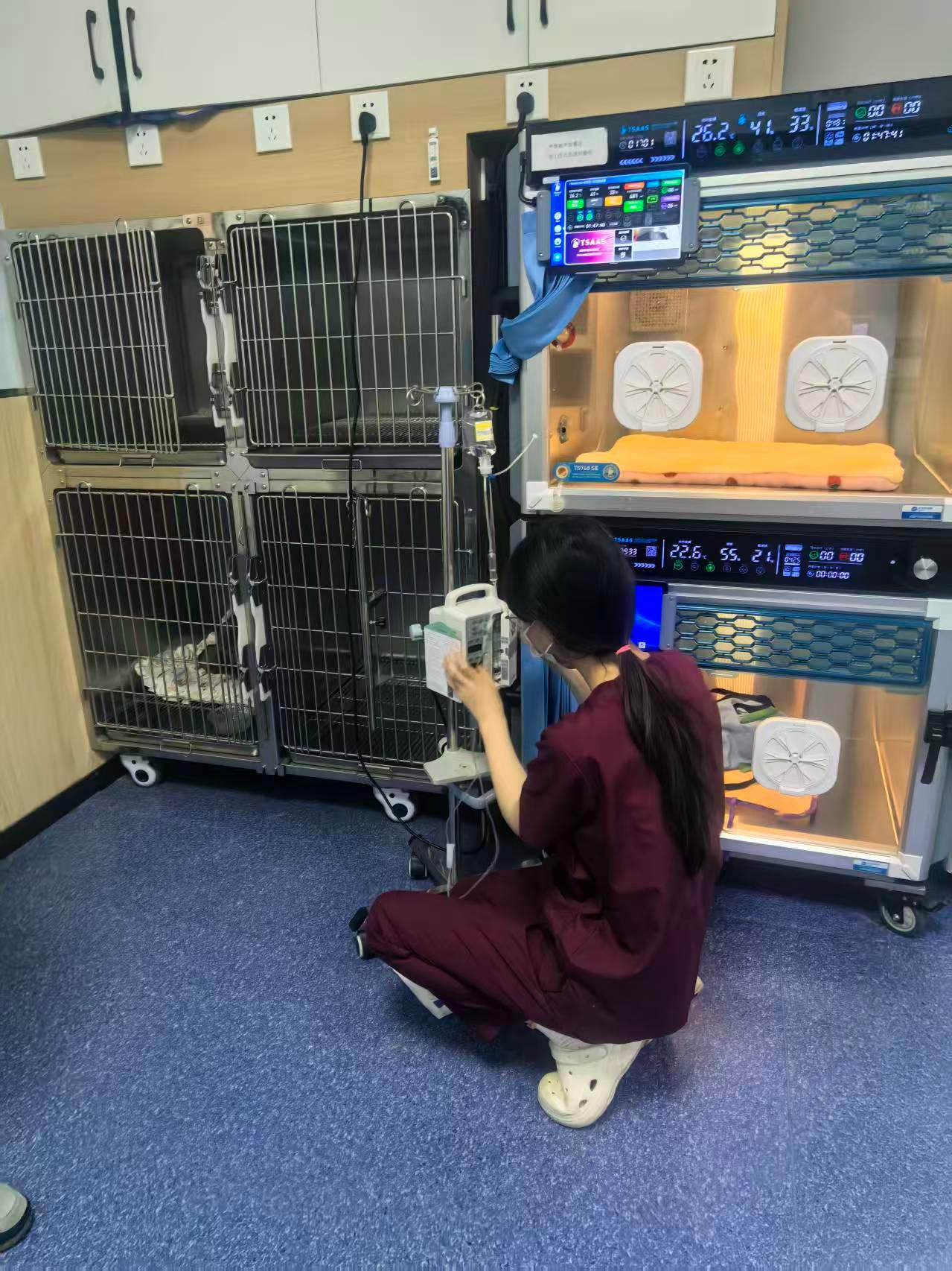 西安安仁爱宠动物医院内部环境