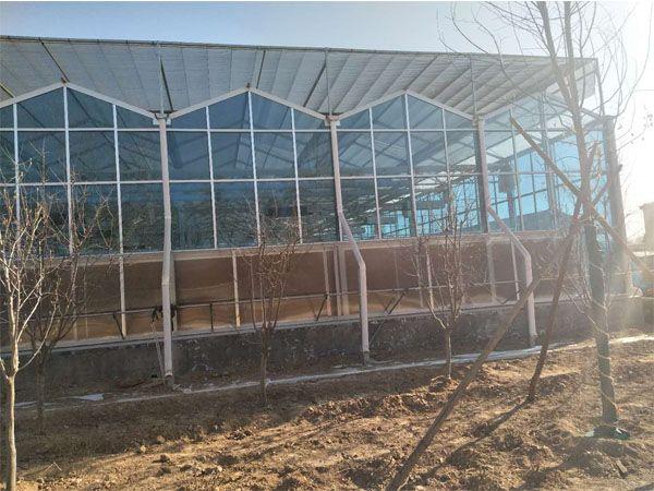 山东大楚温室工程有限公司