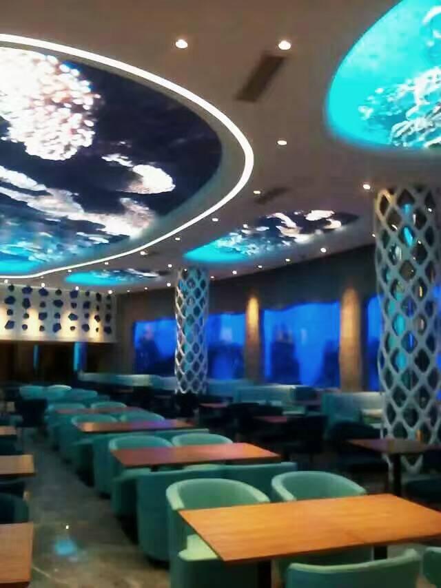 西安秦海水景工程有限公司-水族箱展示