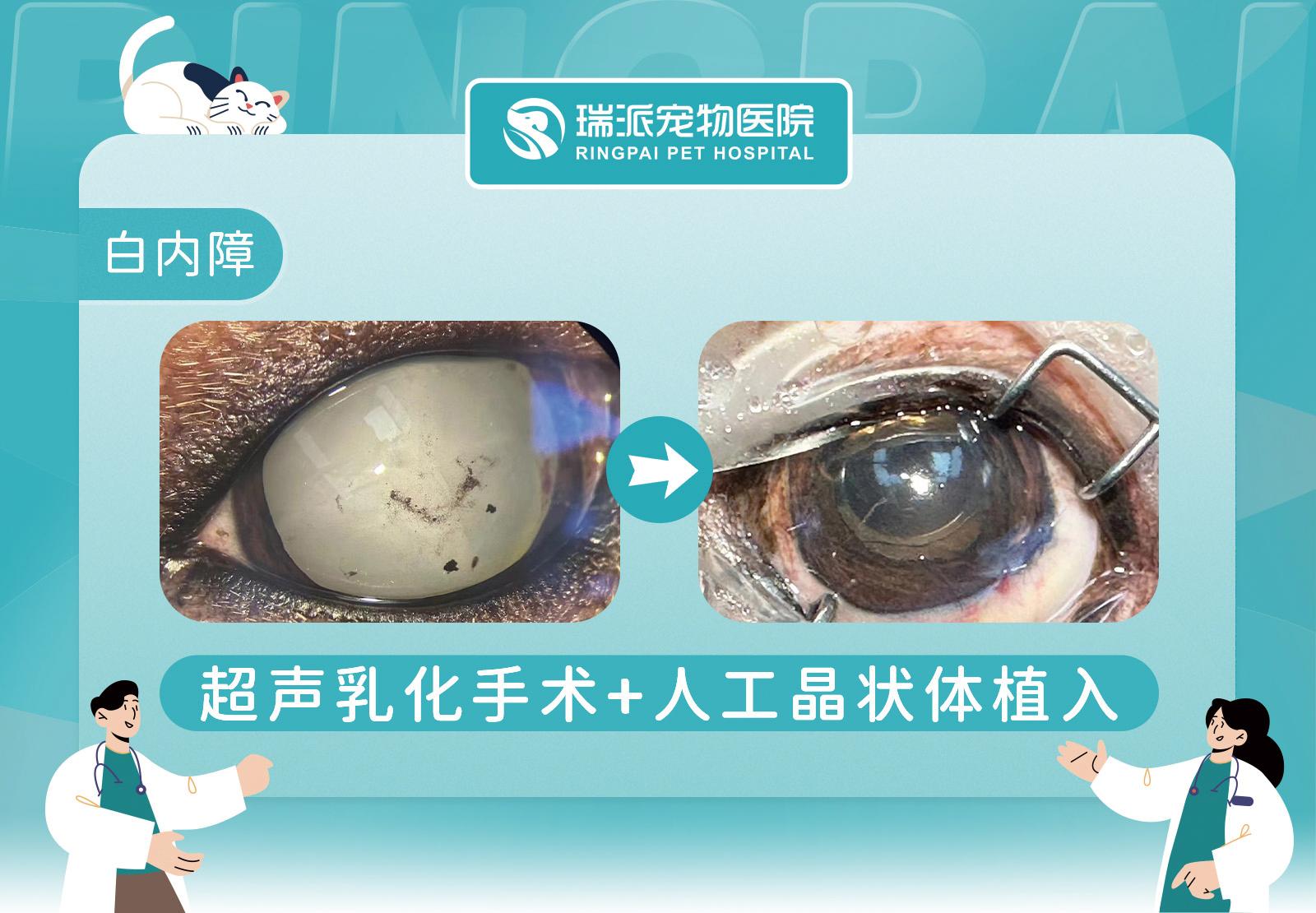 瑞派福华龙华医院环境
