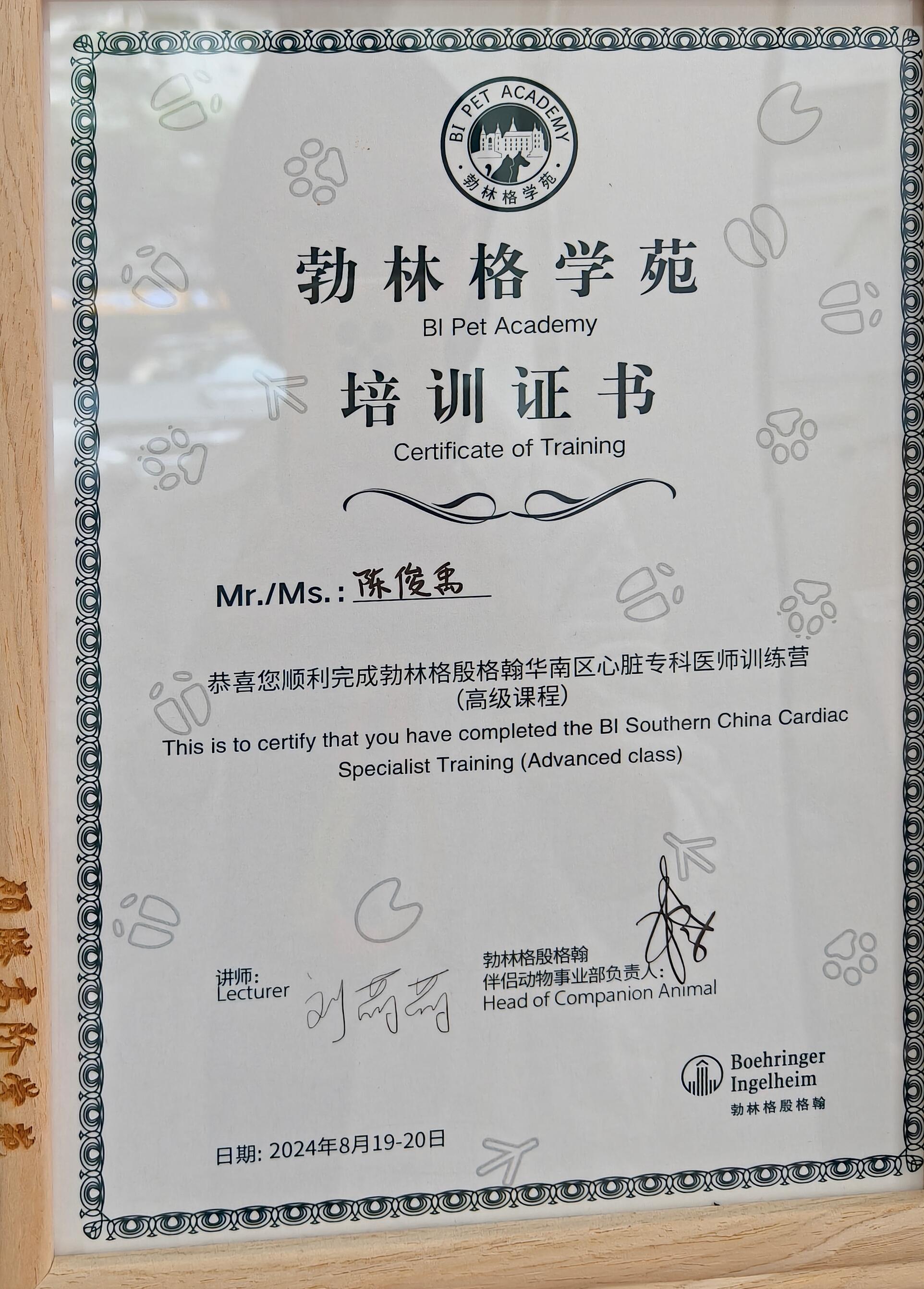 医疗团队