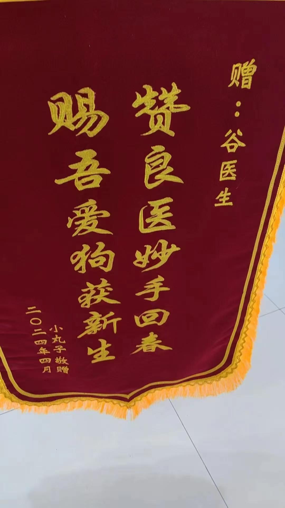 瑞派仁才动物医院环境