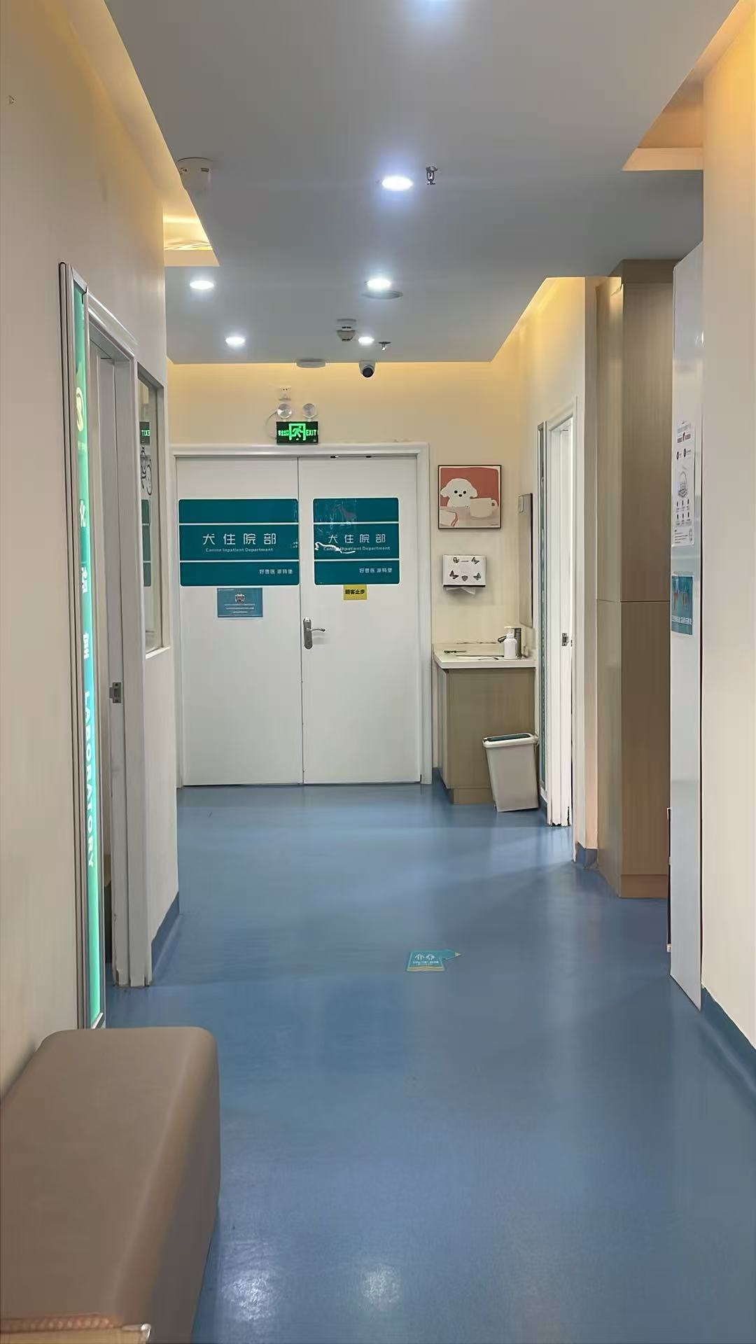 瑞派派特堡南极宠物医院