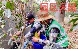 2026年洛溪除四害企业推荐:广州建安白蚁防治四十余年专业服务解析