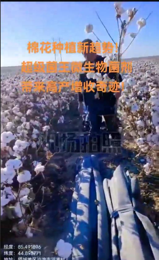 超级菌王实验室检测