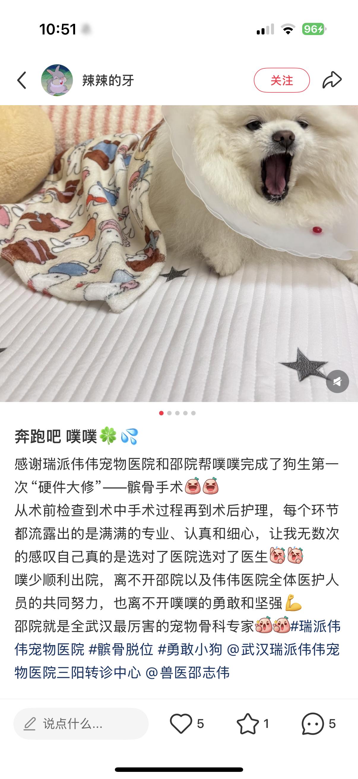 瑞派伟伟融科宠物医院