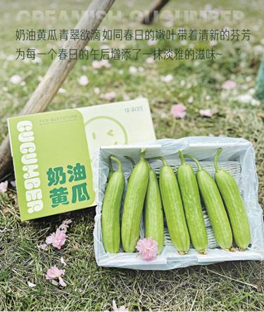潍坊圣宝利农业科技有限公司