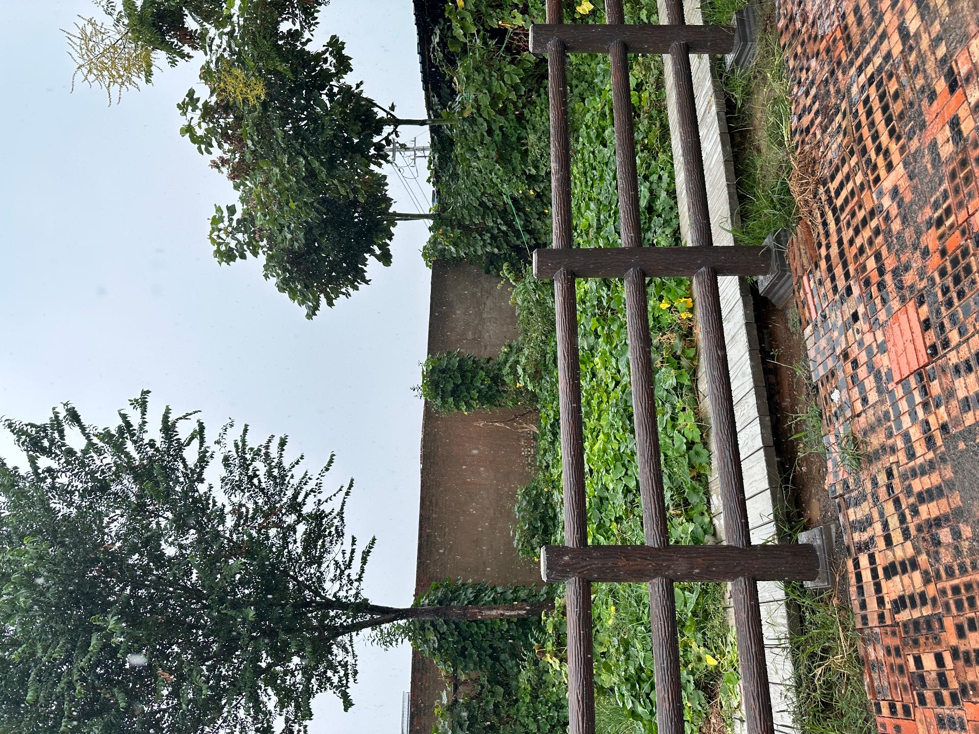 企业实景
