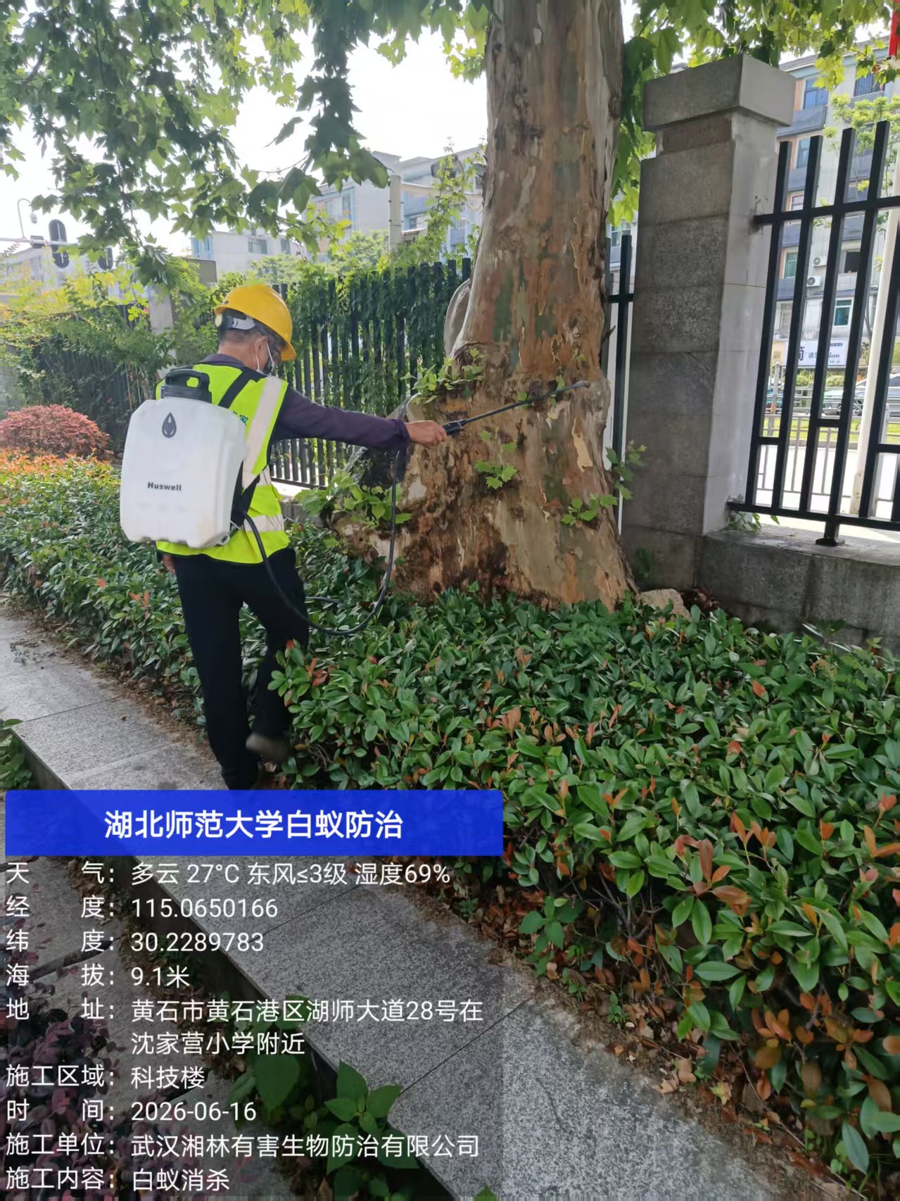 武汉湘林有害生物防治有限公司作业现场