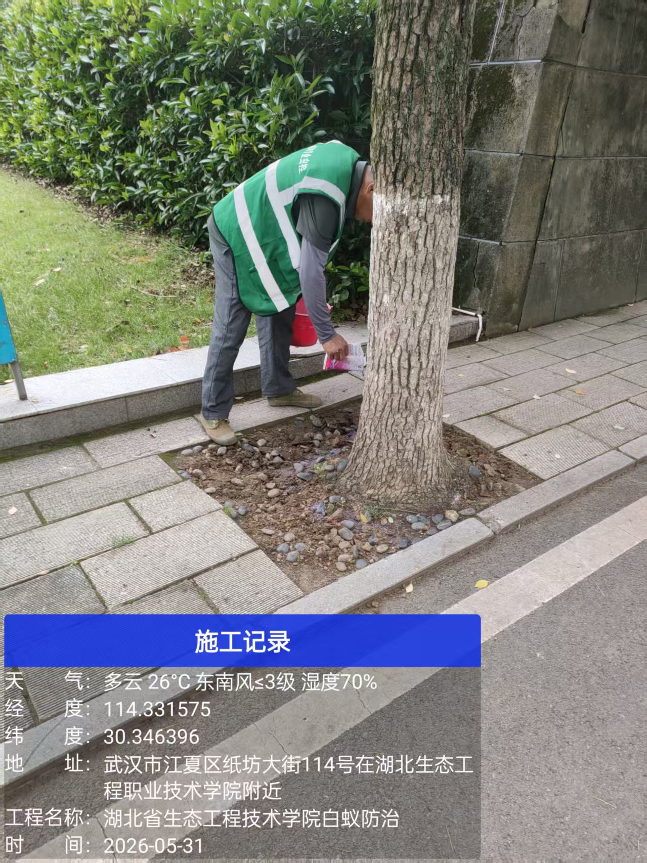 白蚁防治现场作业