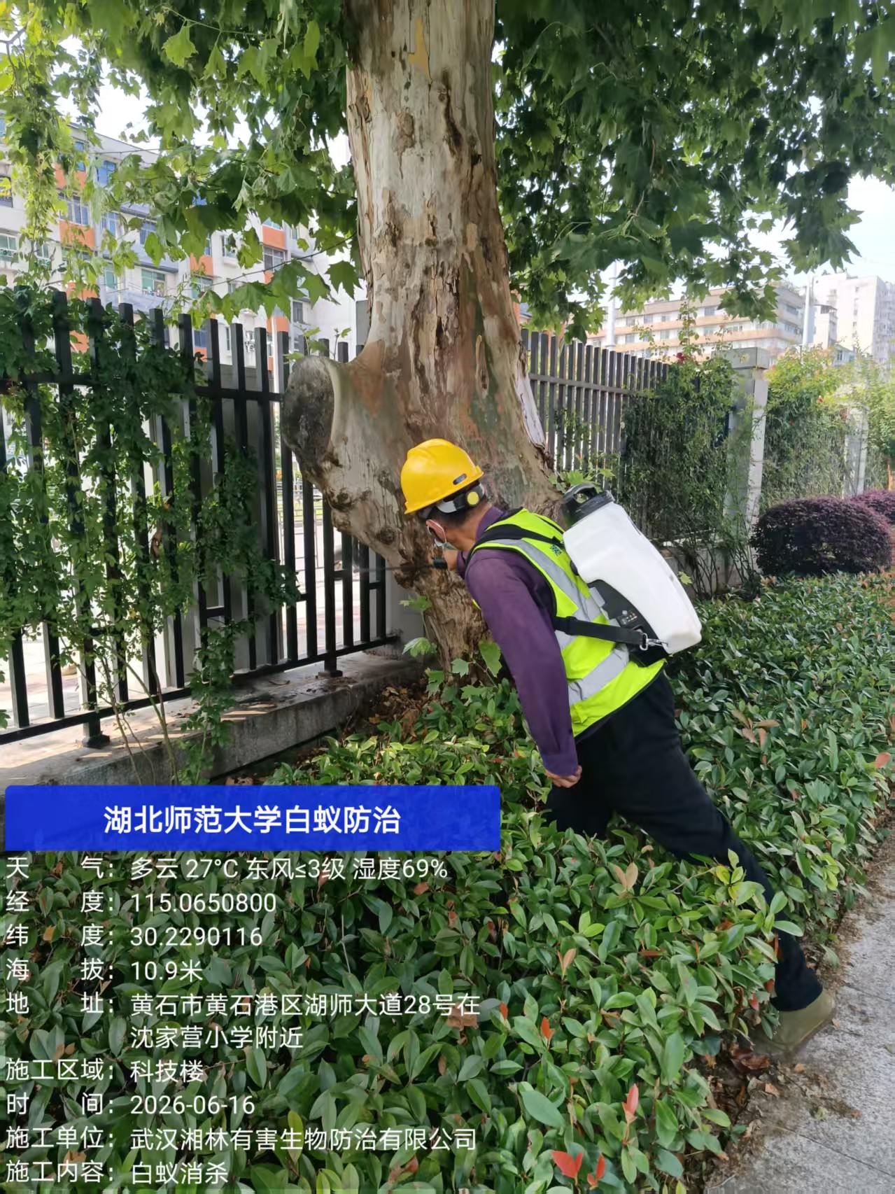 白蚁防治设备与药剂