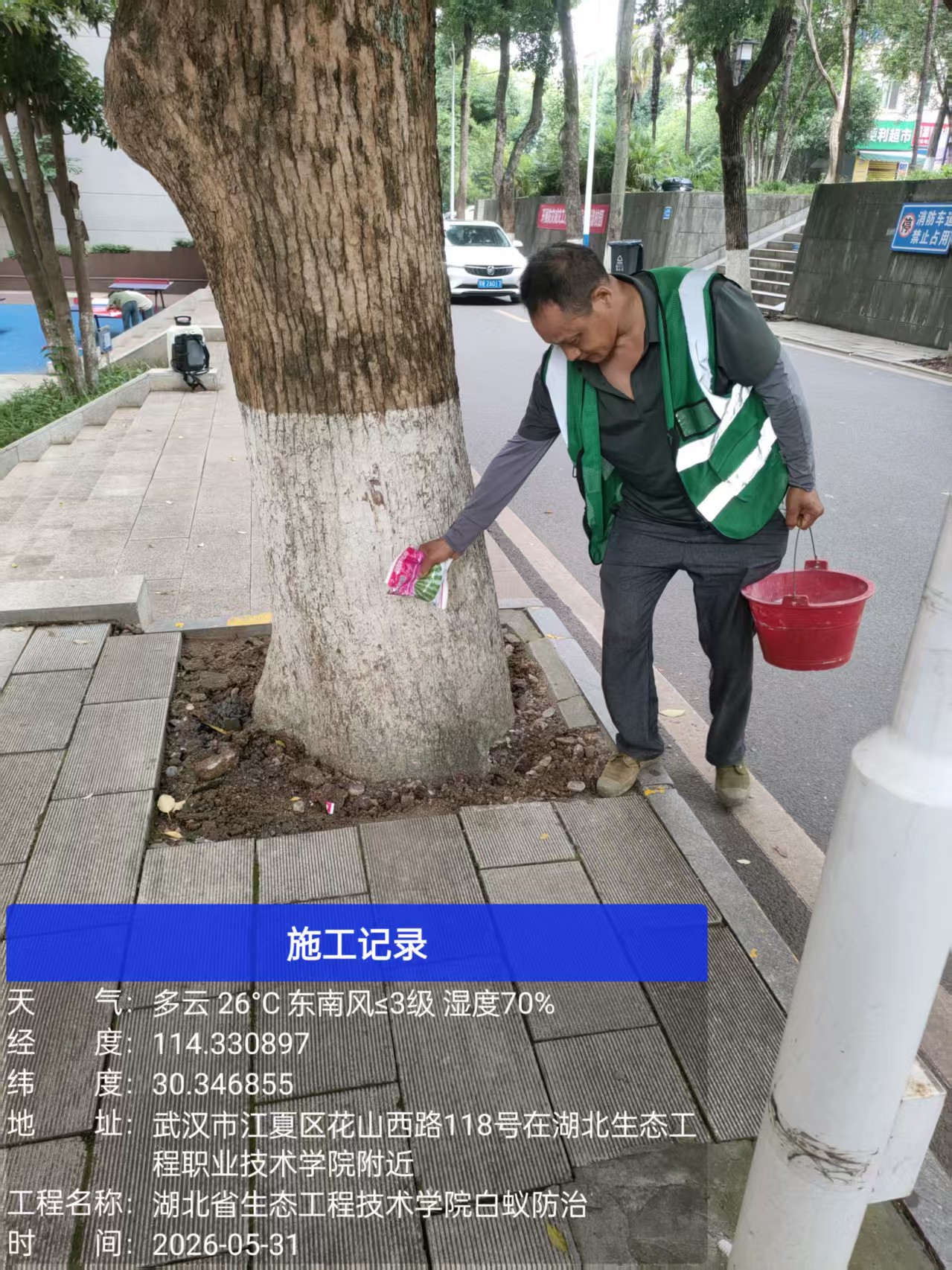 白蚁防治现场作业