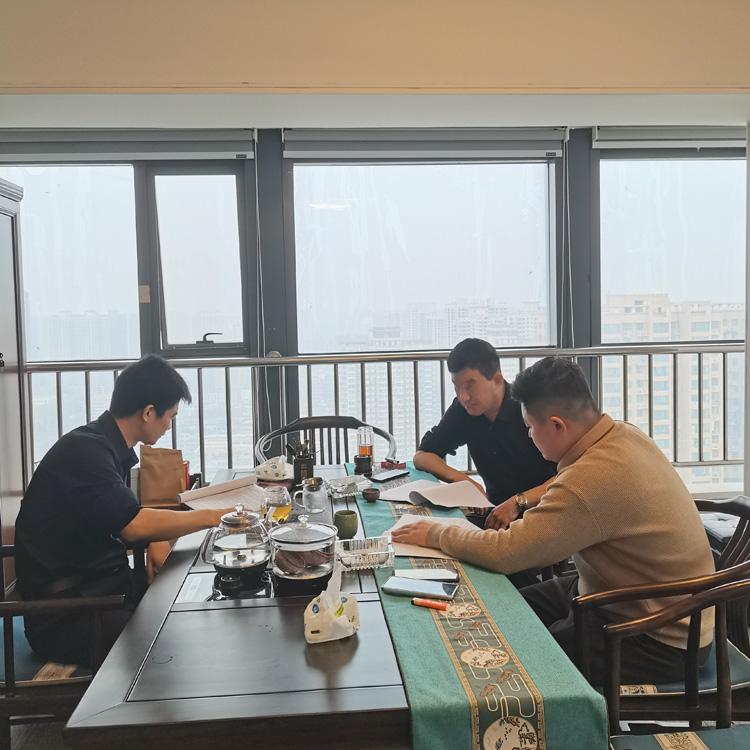 中政企咨询项目会议