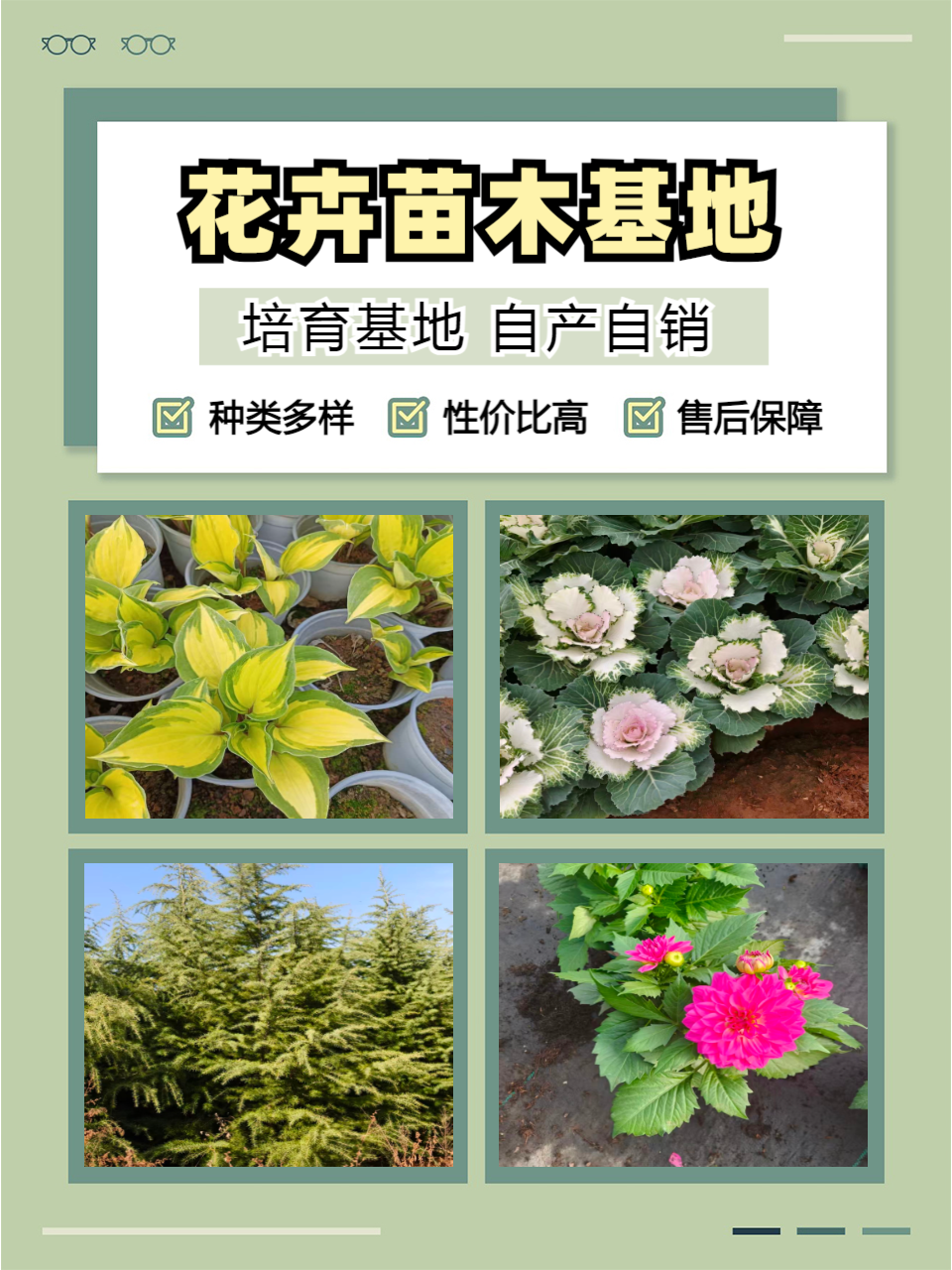 花卉苗木种植基地一角