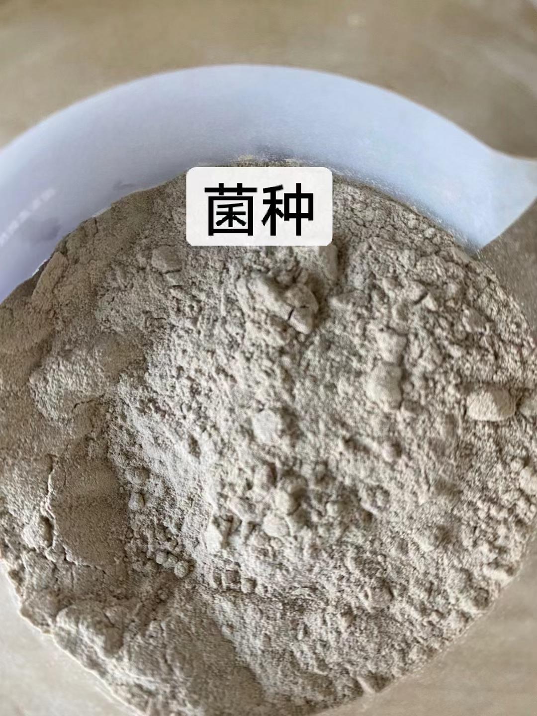 巩义金诺净水材料