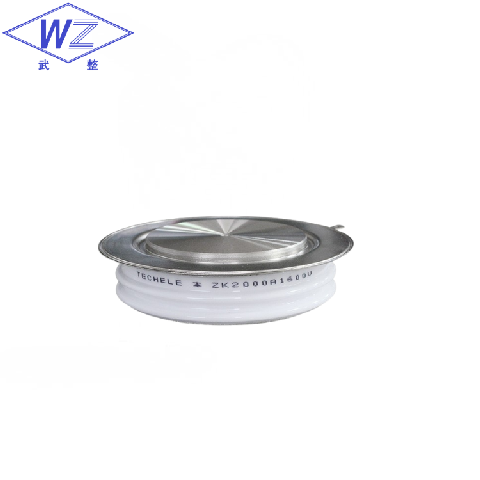 武汉武整整流器产品图1