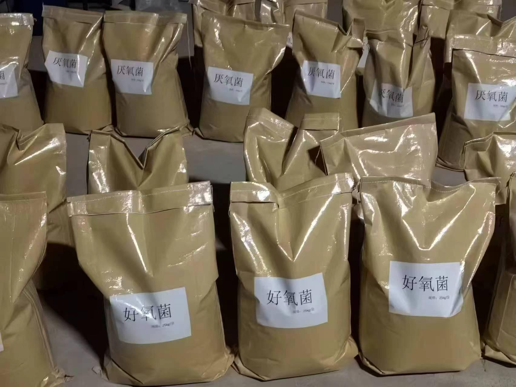 技术研发与生产车间