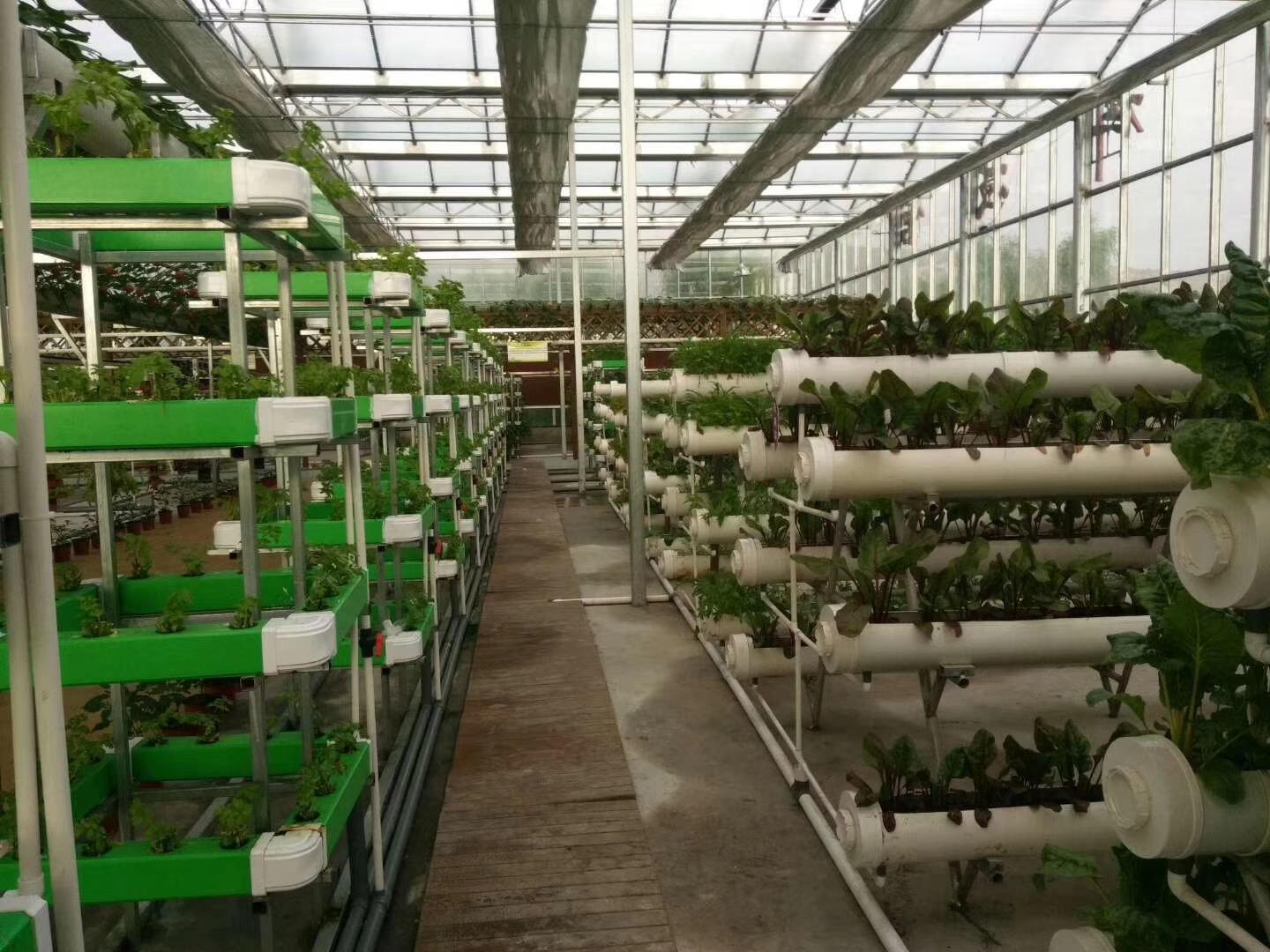 温室工程案例