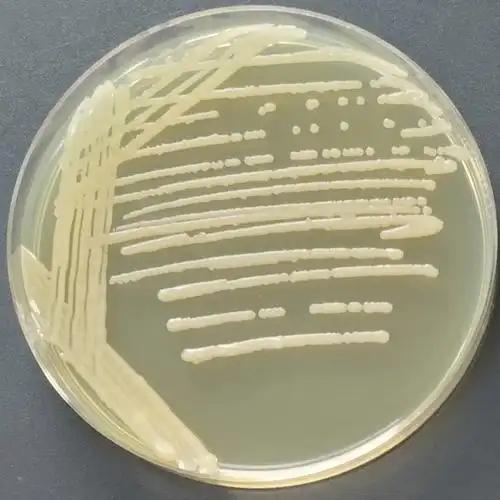 信阳莱耀生物科技有限公司图片2