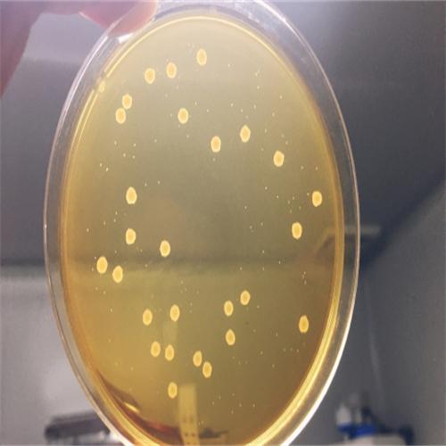 信阳莱耀生物科技有限公司