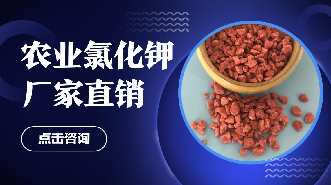 产品包装或仓储实景