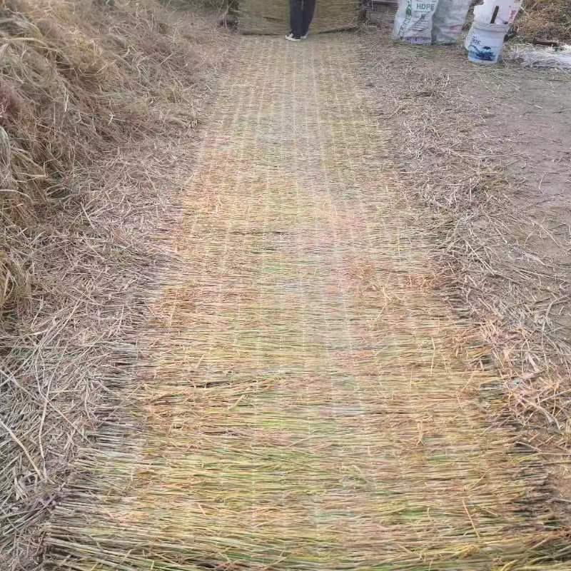 济宁茂源绿化草制品有限公司生产基地