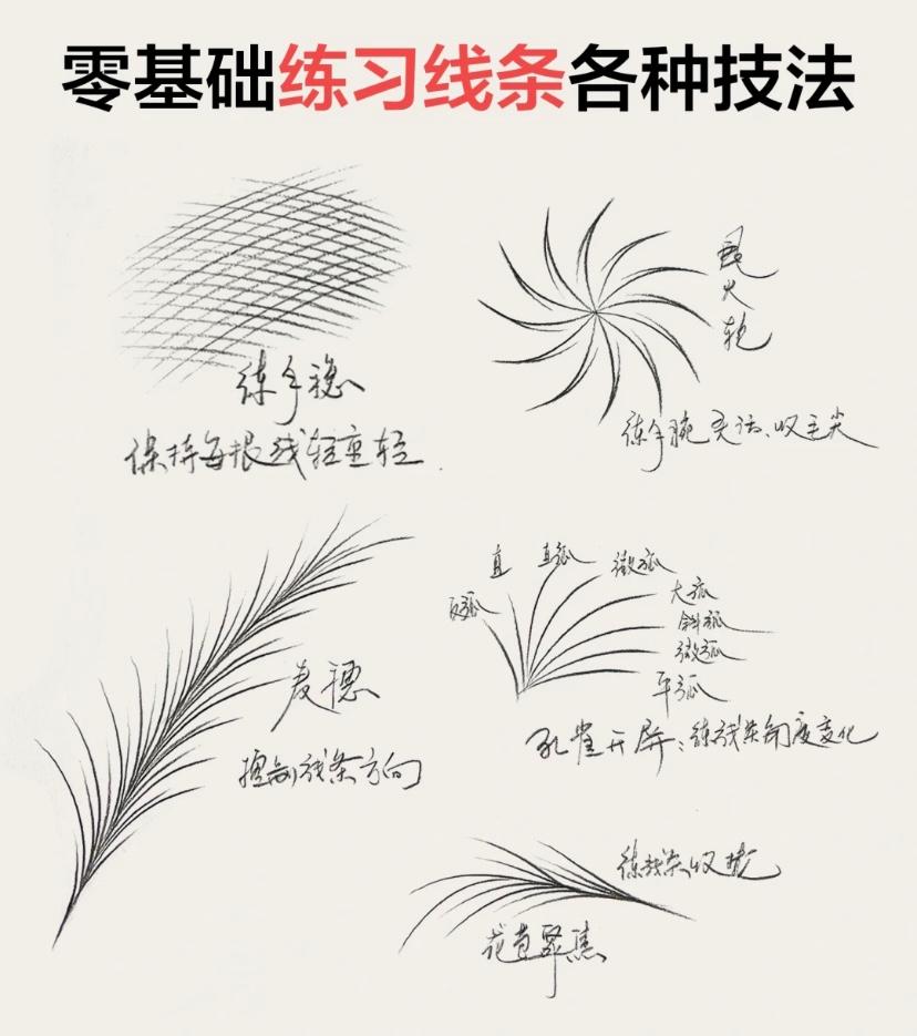 梦莲娜纹绣课堂实操场景