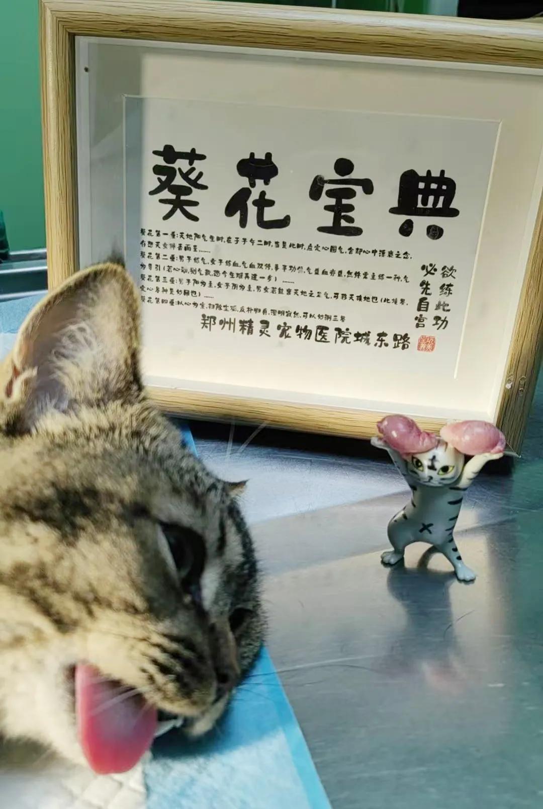 团队合影