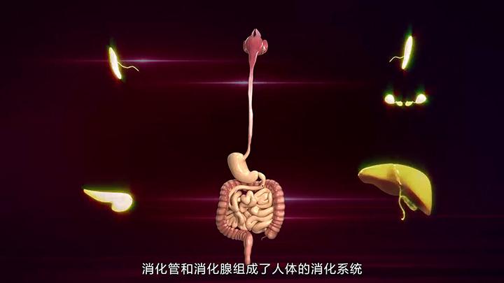 辅星三维传媒