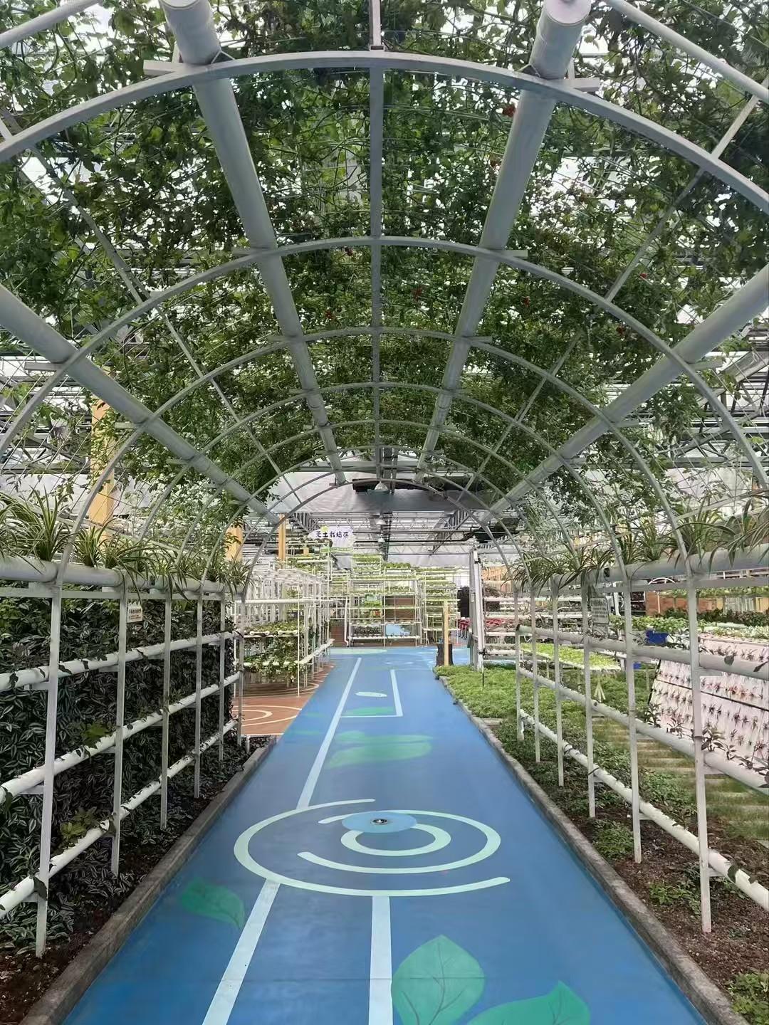 无土水培种植场景