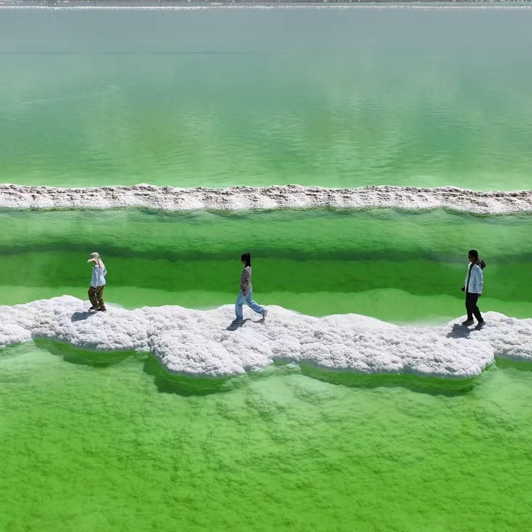 小刚旅行领队带团实拍