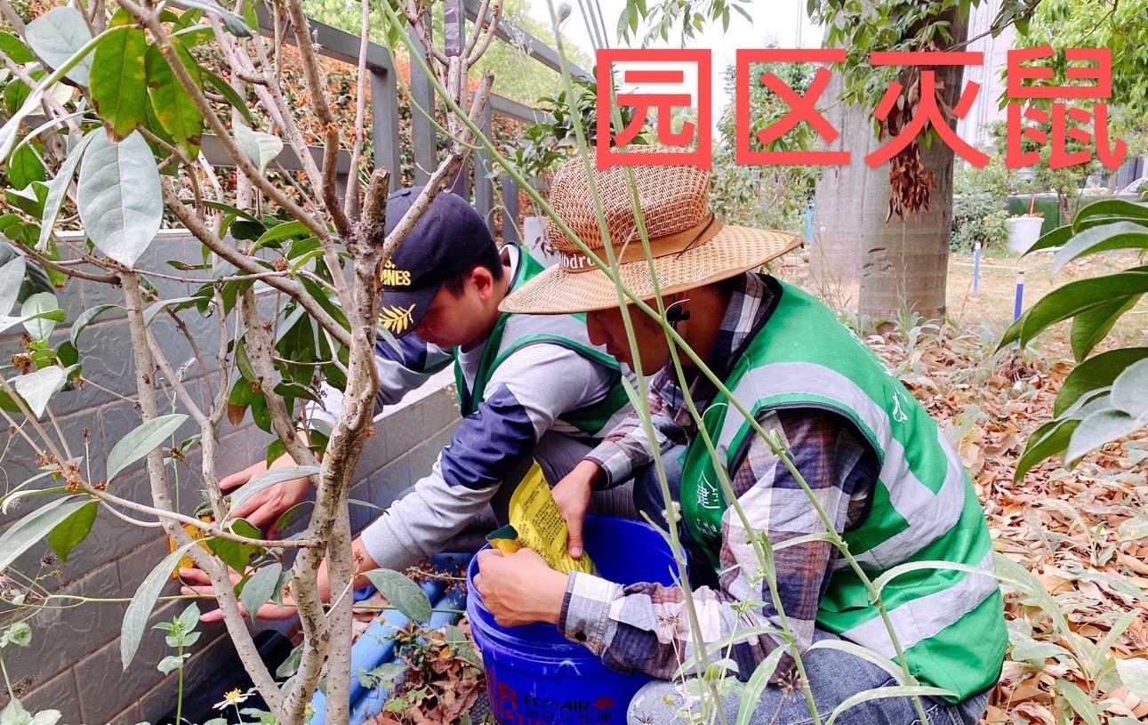广州市建安白蚁害虫防治有限公司服务现场