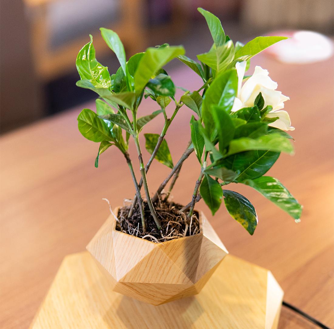 磁悬浮工艺细节图