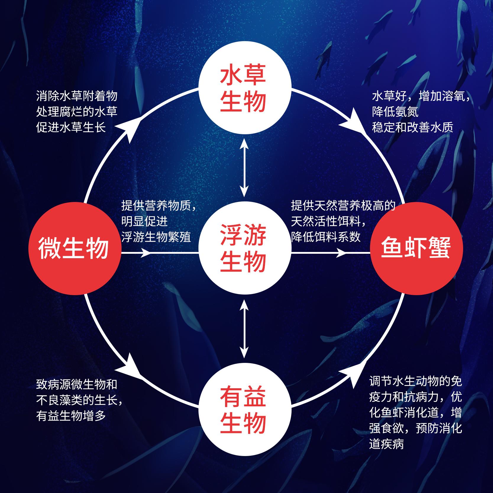超级菌王企业图2