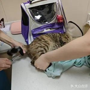 宠和宠医医院环境