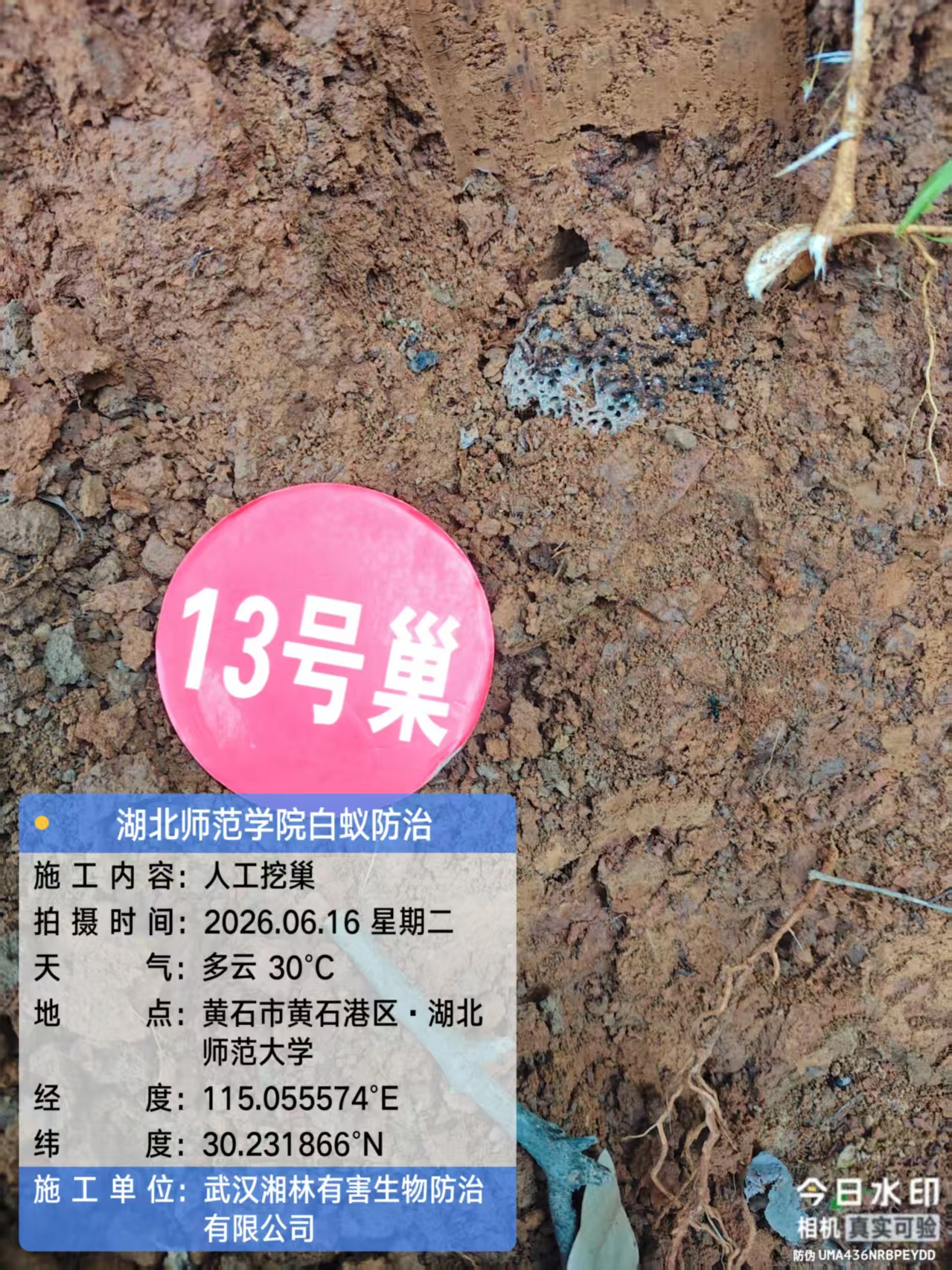 武汉湘林有害生物防治有限公司服务现场