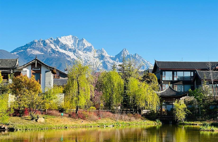 自在行国际旅游(云南)有限公司-小团出行场景