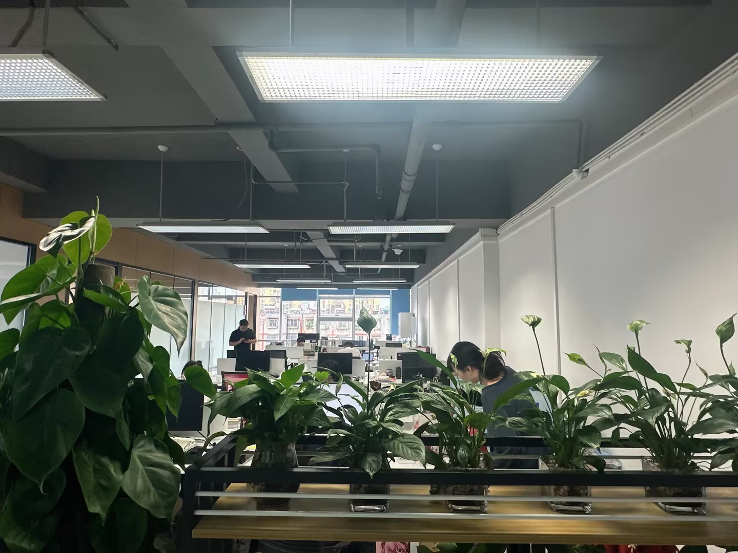 云南谋成AI智能体应用场景