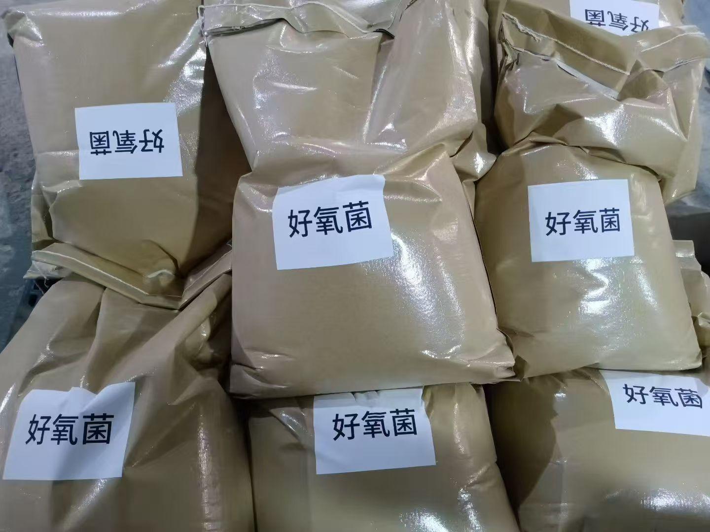 河南世源菌种产品生产车间