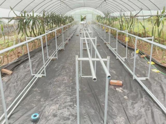 山东环农生态科技防草布应用场景