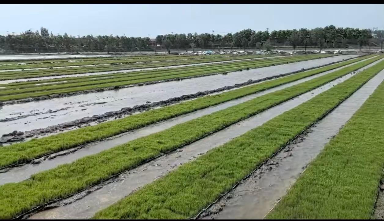 济南兴禾基质农业科技生产基地