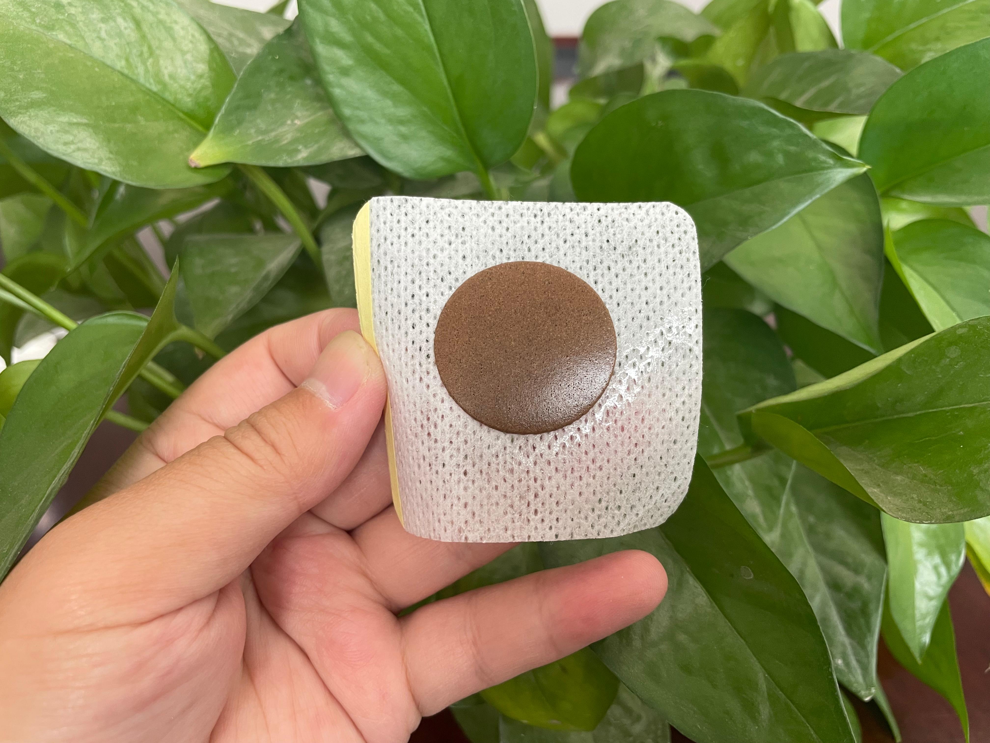 产品展示