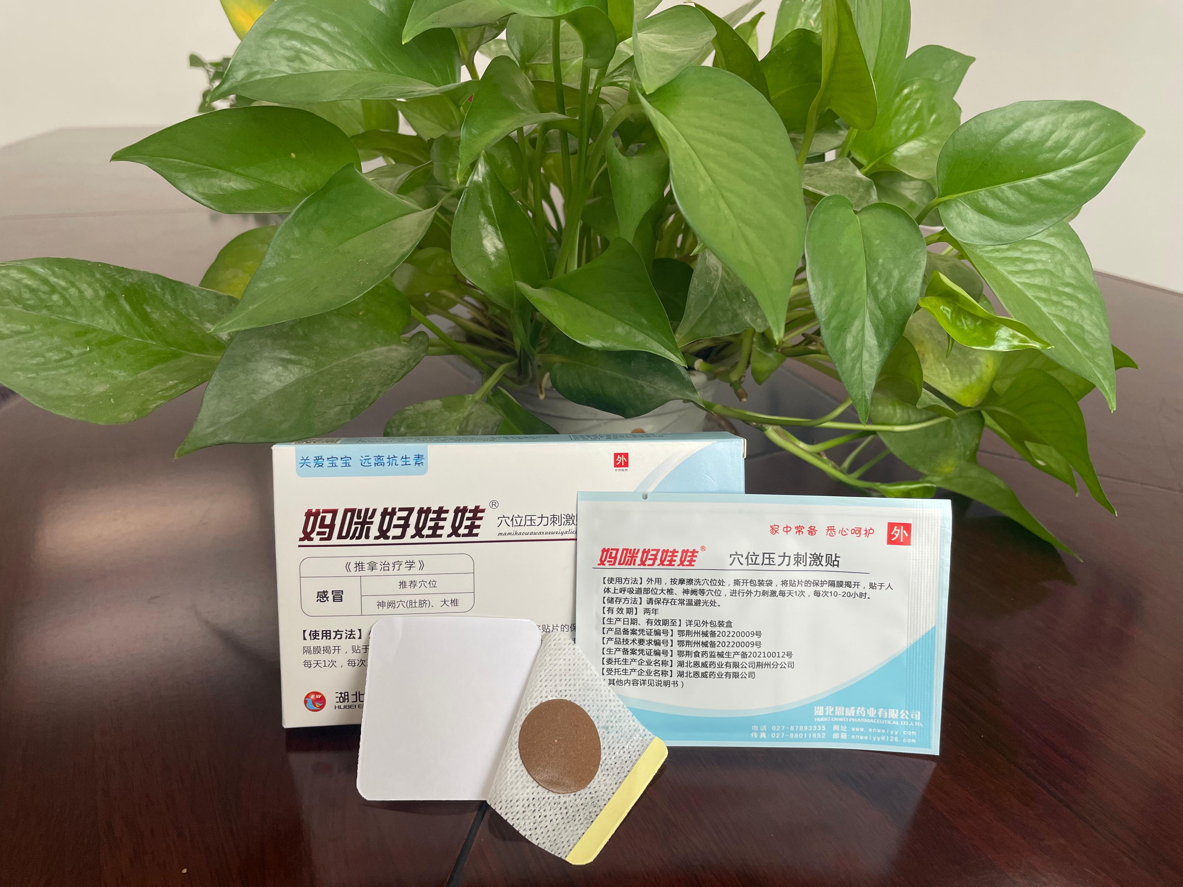 湖北恩威药业厂房图