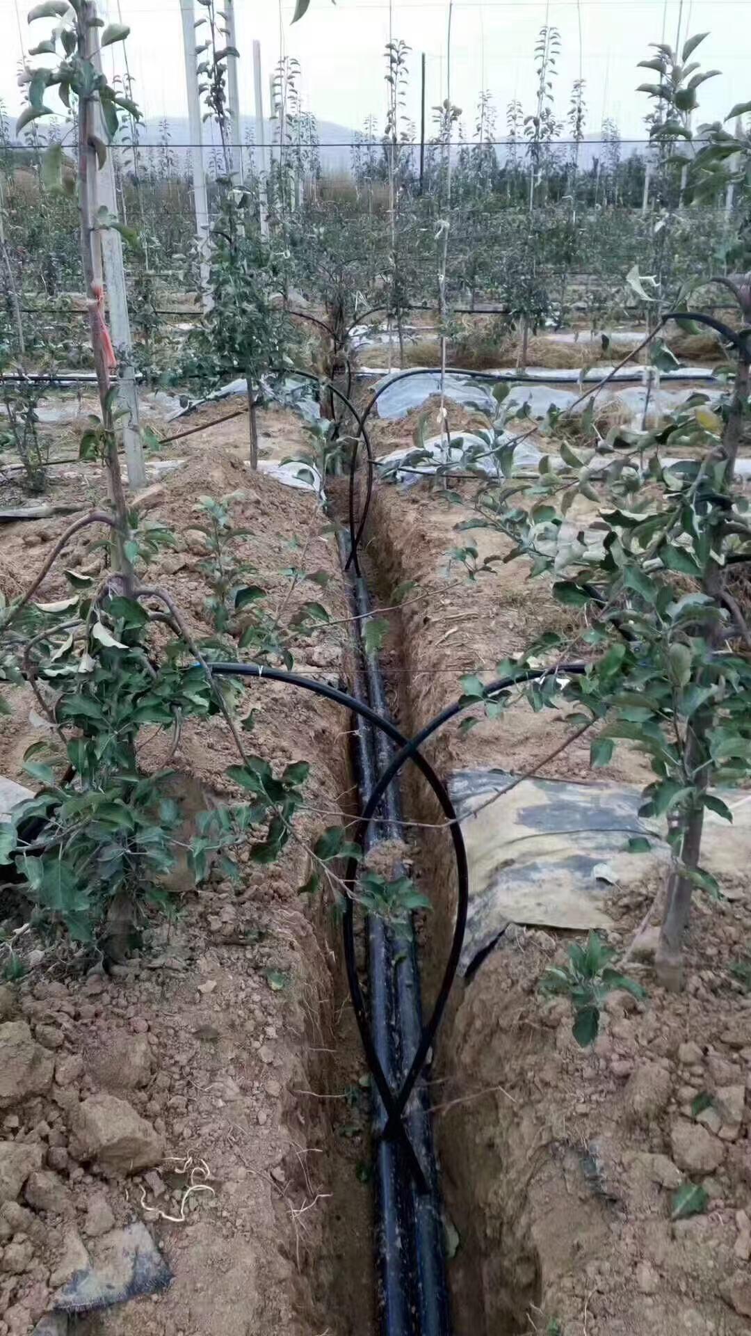 山东豪悦节水灌溉有限公司产品应用场景